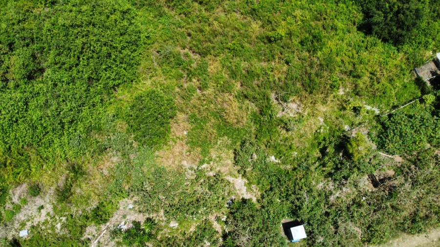 Commercial Property for Sale in Rondevlei Western Cape